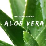 Aloe Vera E-Book Cover